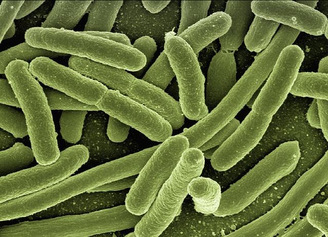 The Microbiome's Role: