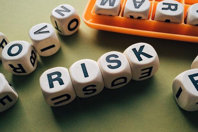 4. Possible Risks and Challenges