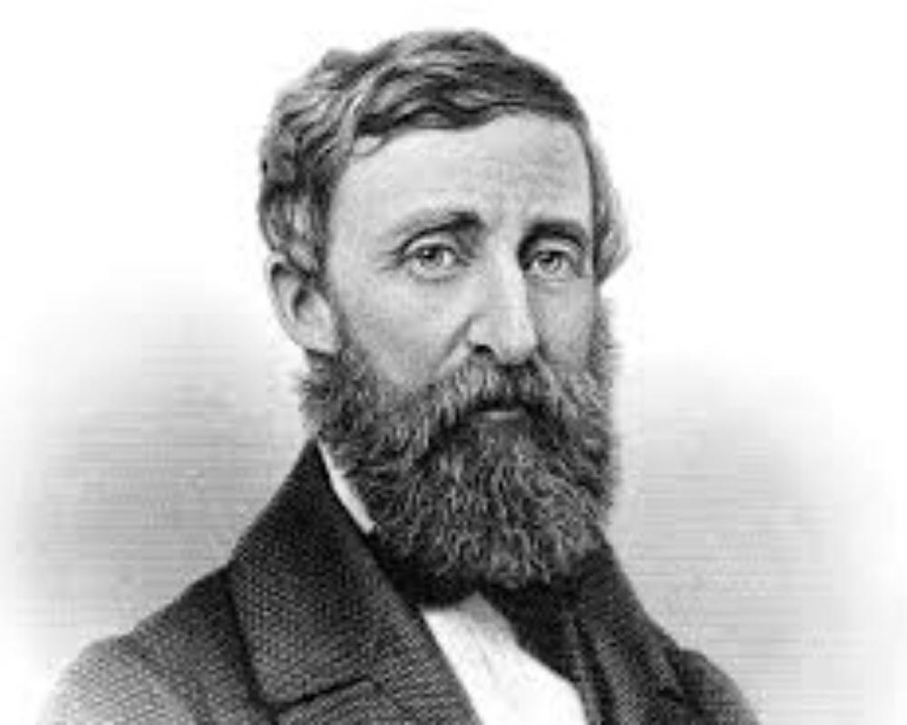 HENRY DAVID THOREAU