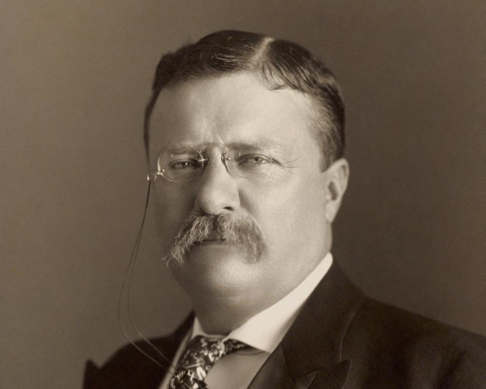 THEODORE ROOSEVELT