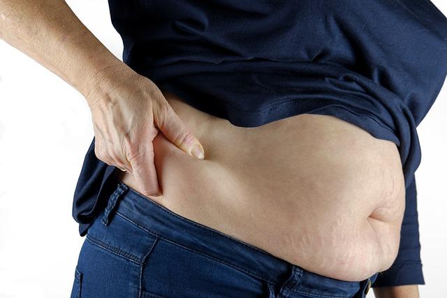 Understanding Visceral Fat