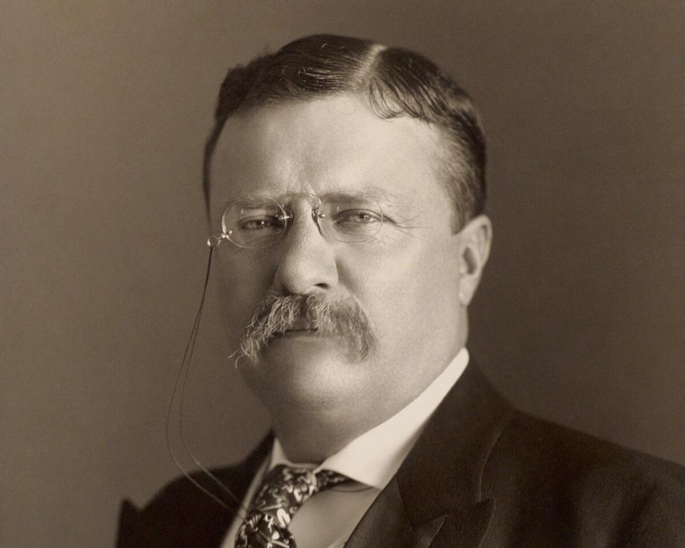 THEODORE ROOSEVELT