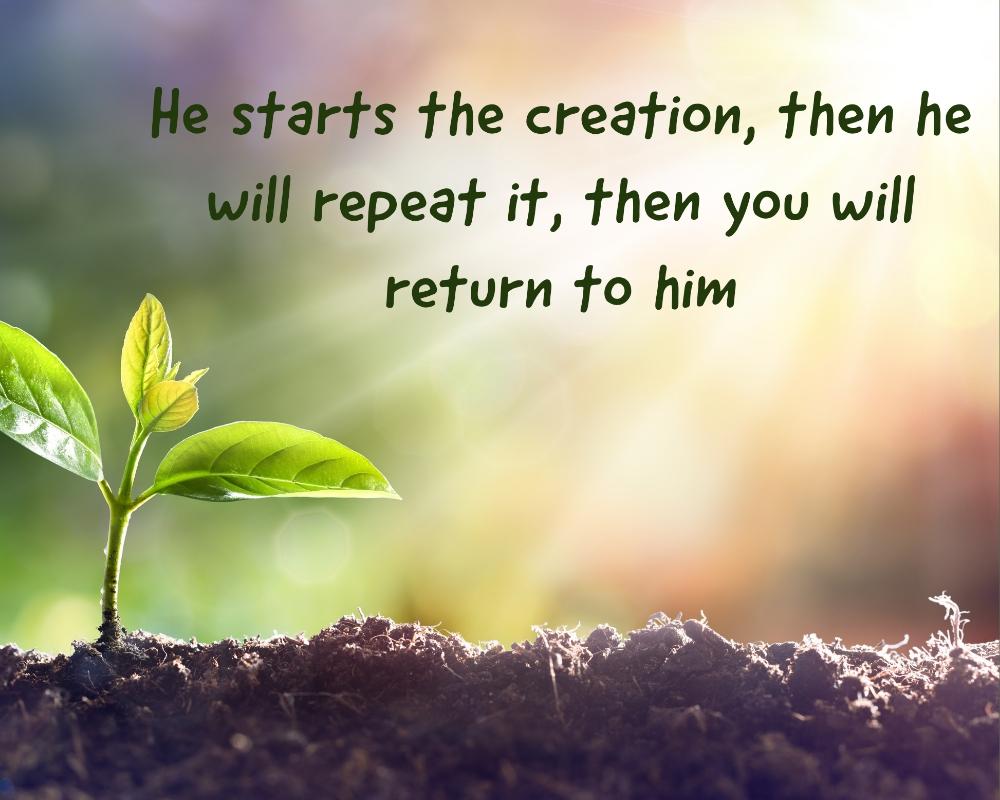 <p>He will revive you who crea...