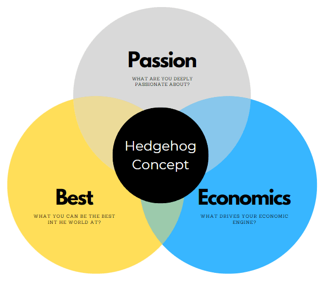 4. Focus on the Hedgehog Concept