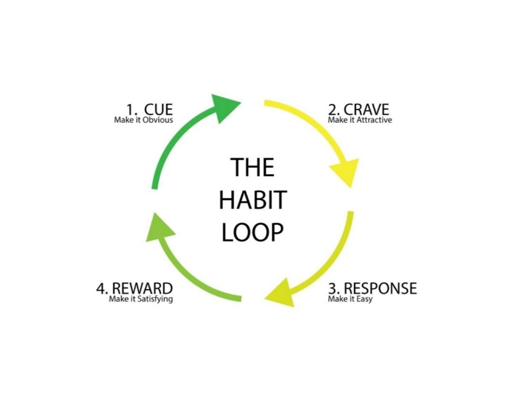 2. The Habit Loop: