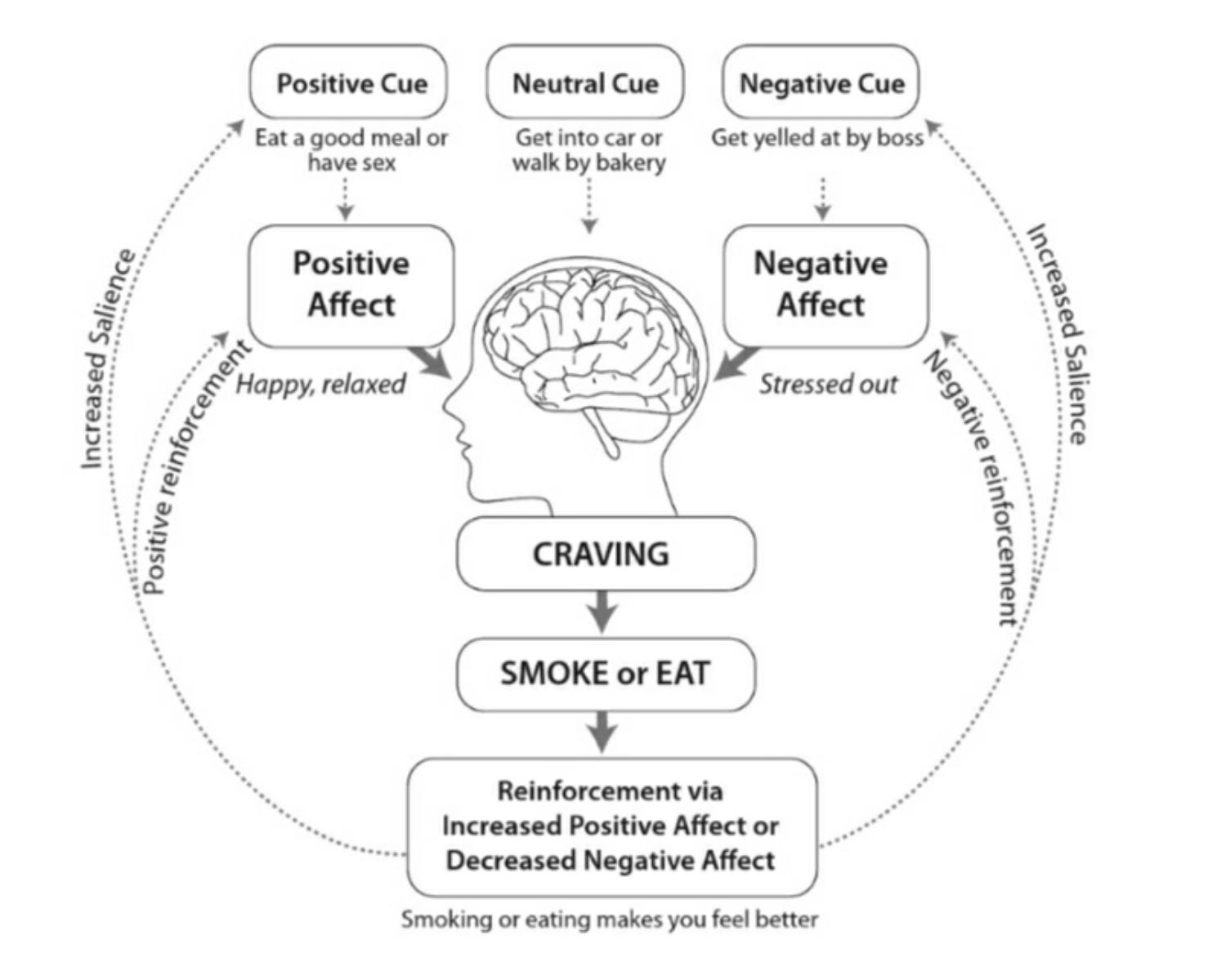 unscientific-ideas-about-the-feeling-of-hunger-nakazawa-publishing