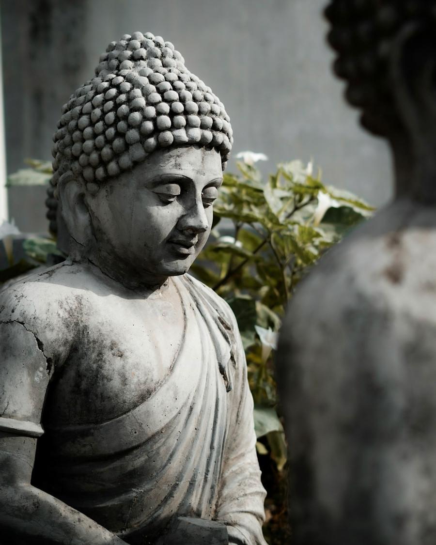 BUDHA