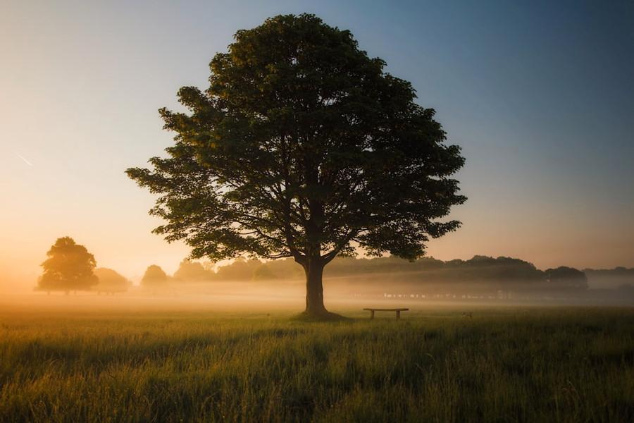 Mindful walking