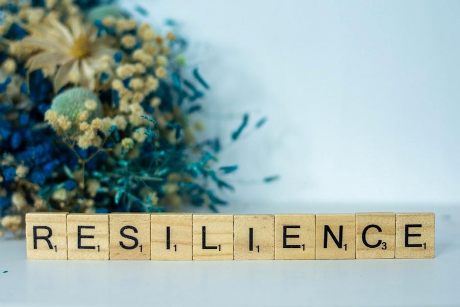 Resilience