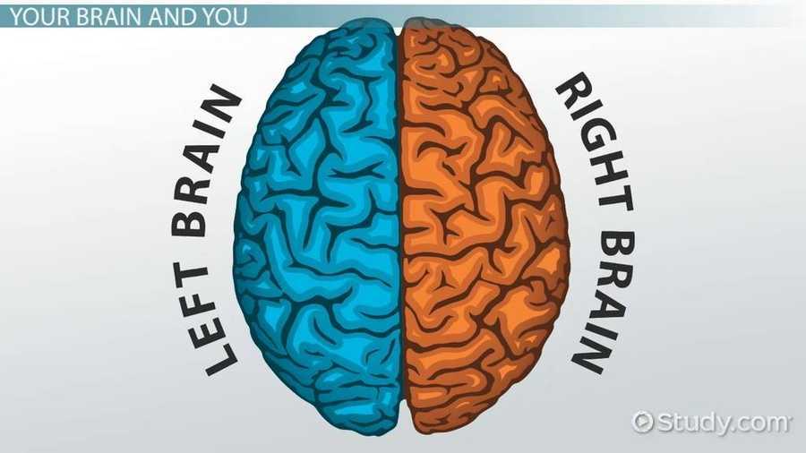 How Left and Right Hemisphere works