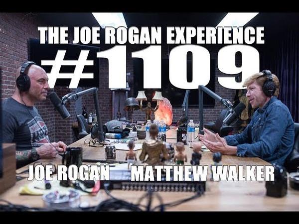 The Importance of Sleep: Insights from Joe Rogan's Interview with Dr. Matthew Walker