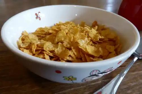 How Corn Flakes Can Helps in Weight Loss? » Nutrition » FreakToFit