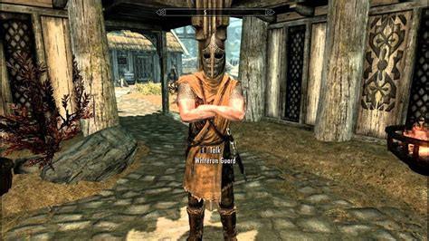 NPC (THE ELDER SCROLLS V: SKYRIM) 