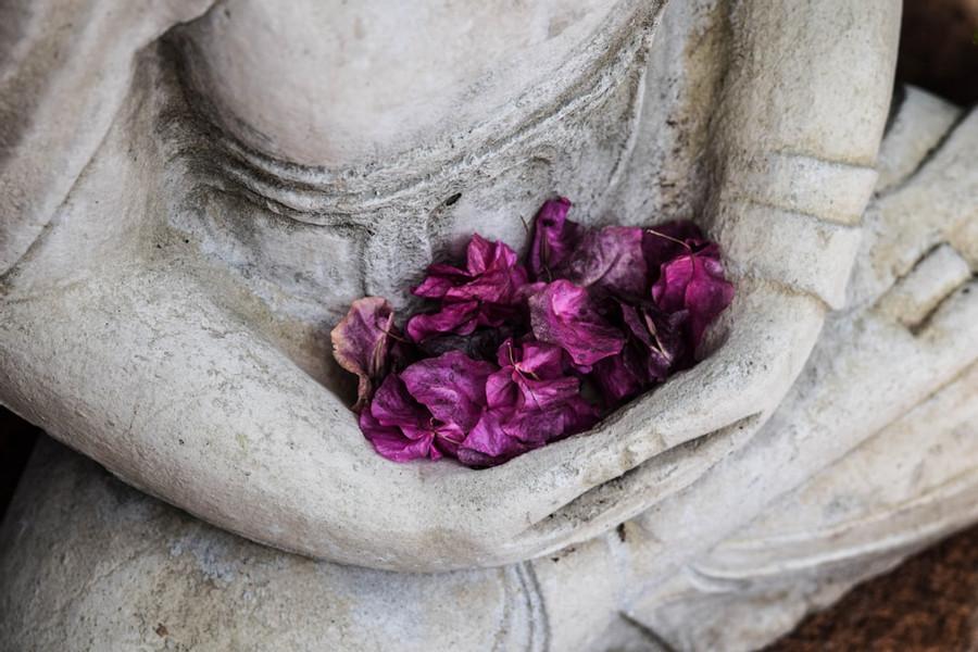 Zazen Meditation