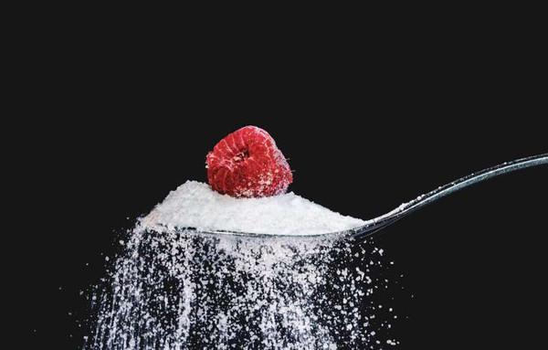 The “Fructose Survival” Hypothesis
