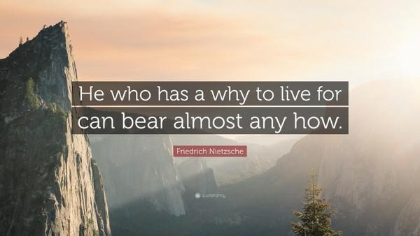 “He who has a why to live for can bear almost any how.”