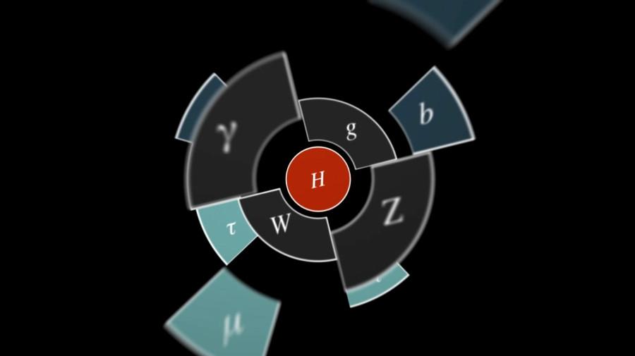 Gauge symmetry