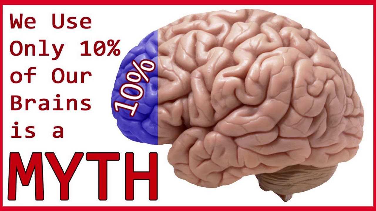 What percentage of our brain do we use?