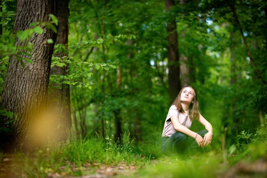 Forest Bathing