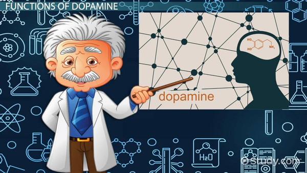 World in Terms of Dopamine