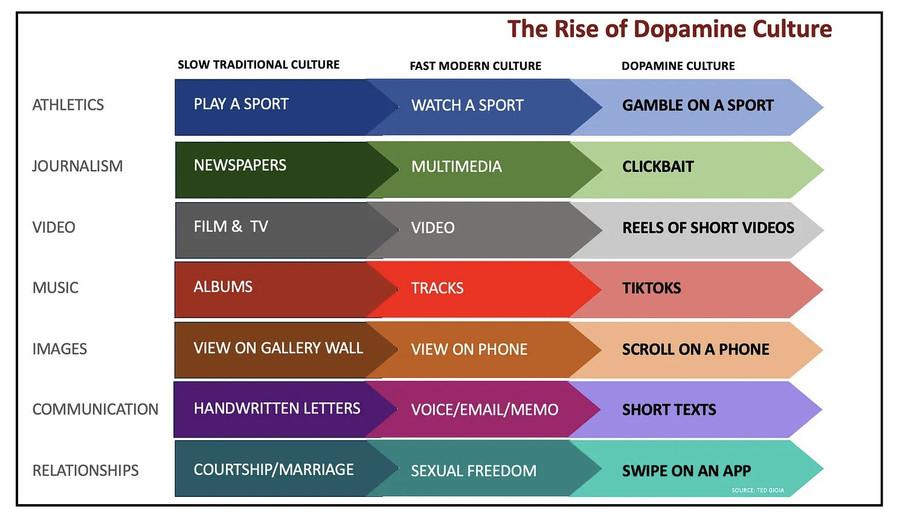 1. Dopamine Culture