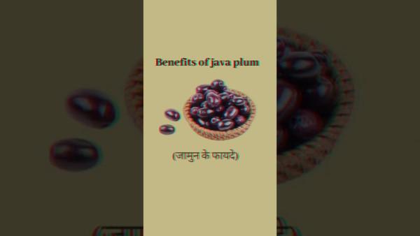 Health benefits of java plum / हैरान करने वाले जामुन खाने के फायदे #jamunkefayde #jamun #javaplum