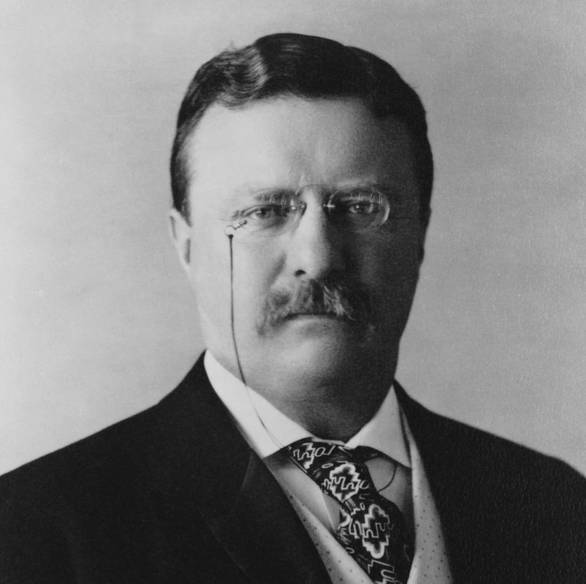 Theodore Roosevelt 