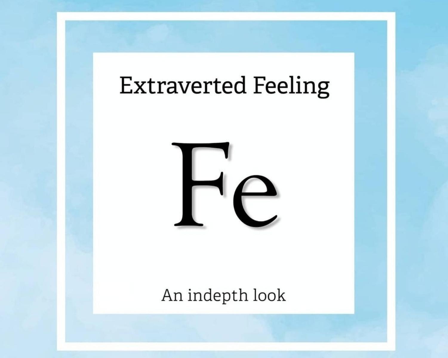 The Copilot Process: Extraverted Feeling (Fe) - "Harmony"