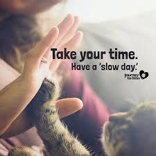 Have a Slow Day
