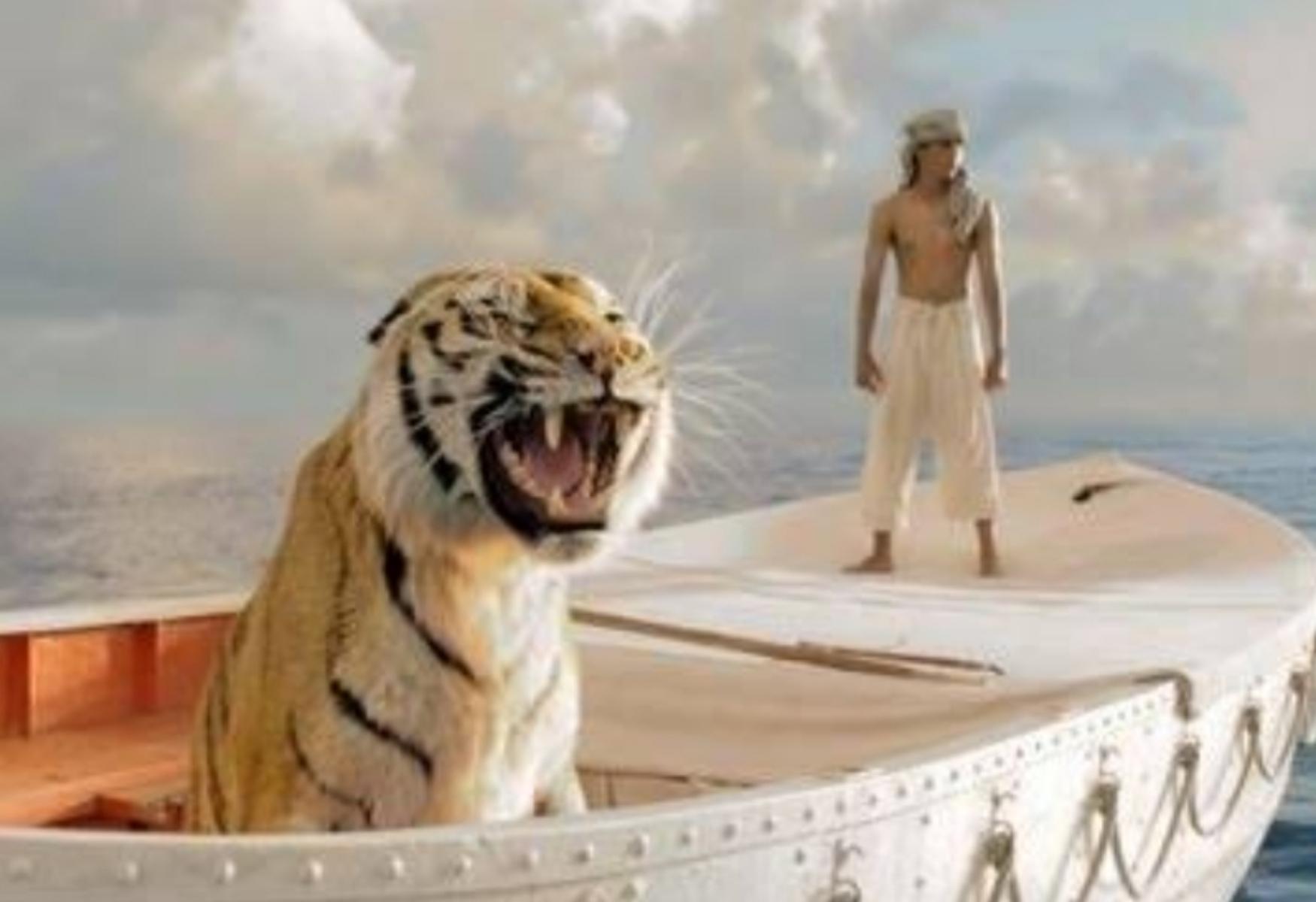 An inspiration from "Life of Pi"