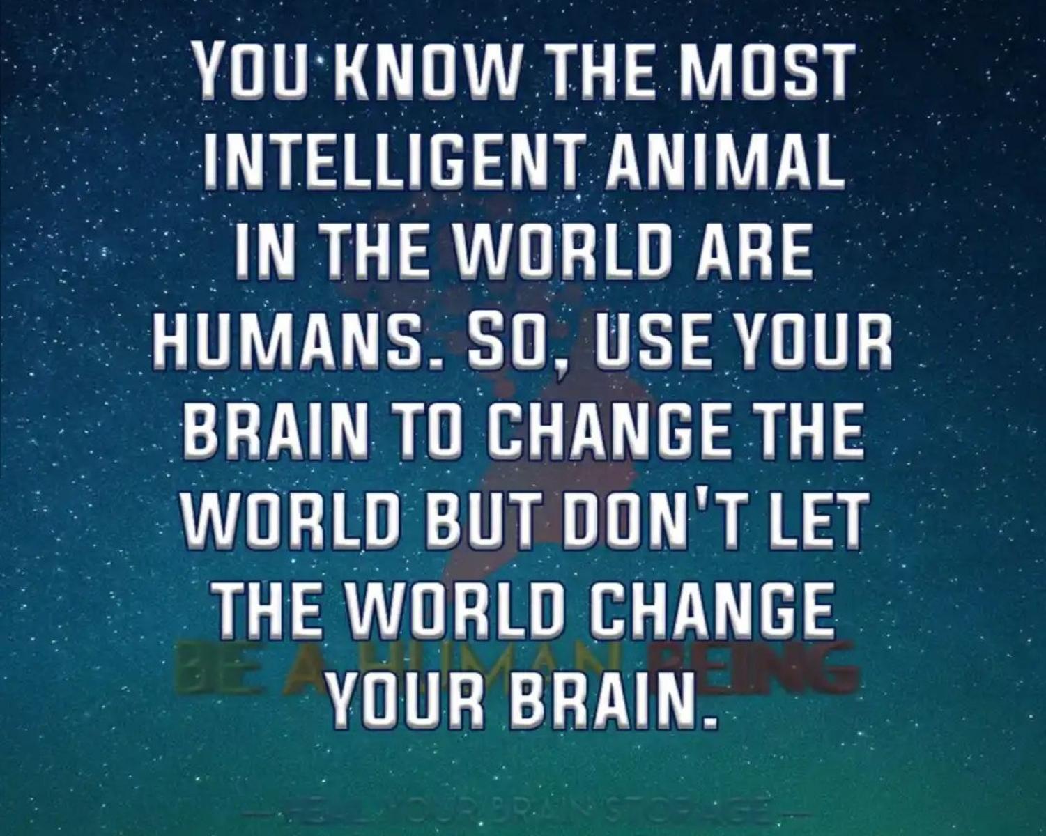 Most Intelligent Are You