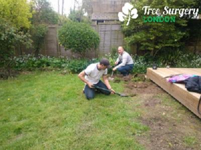 Expert Gardeners in London That You Can Afford