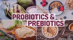 Prebiotics And Probiotics