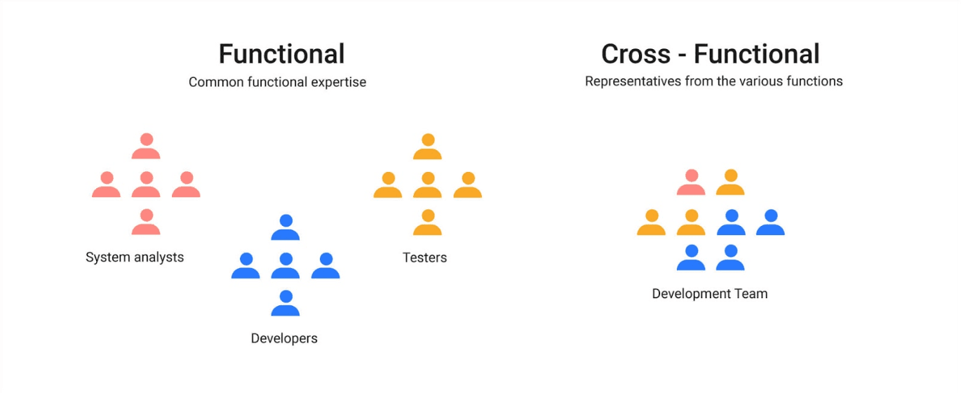 Cross-Functional Teams