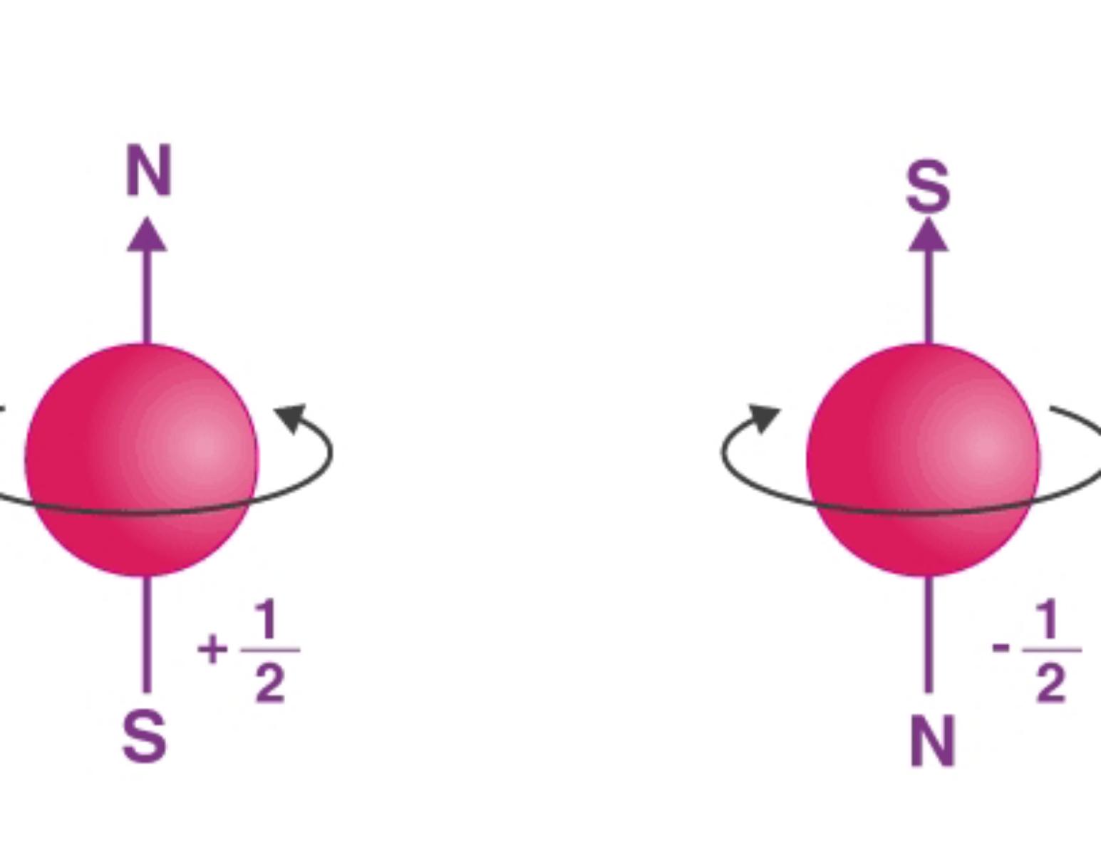 Spin Quantum Numbers (ms)