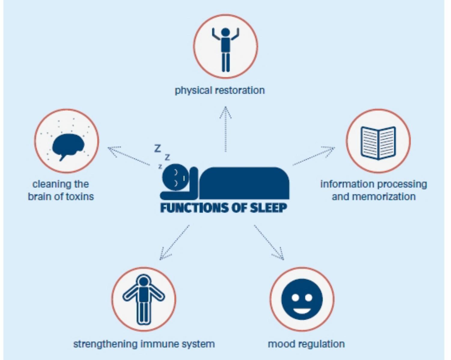 The Function Of Sleep