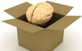 The Brain And The “Box”