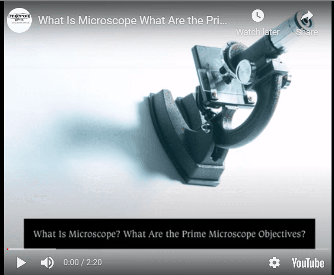 High Authoritative Microscope Manufacturer Company in India