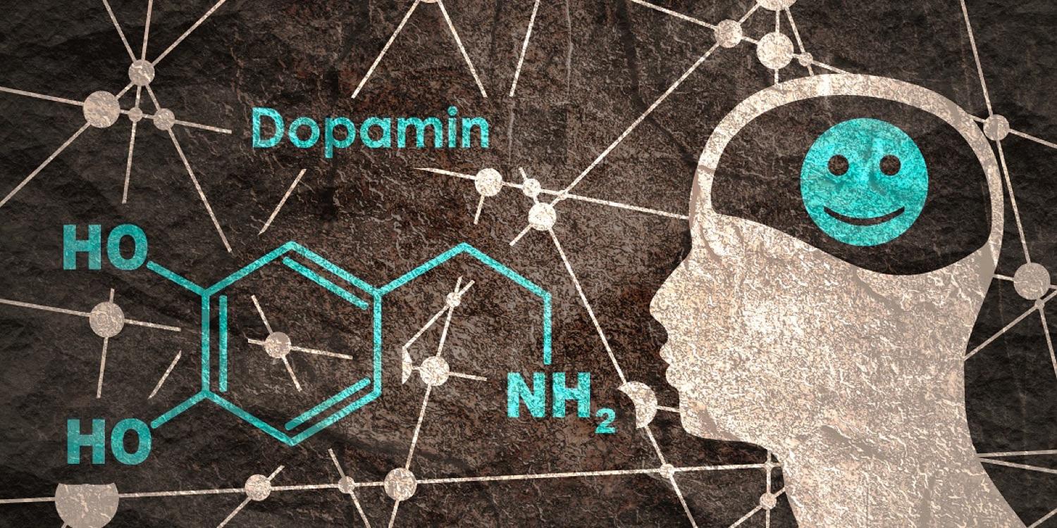 Coffee and Dopamine