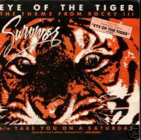 Eye of The Tiger (Survivor)
