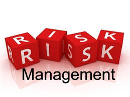 The Risk Management and its Importance in Medical Crisis