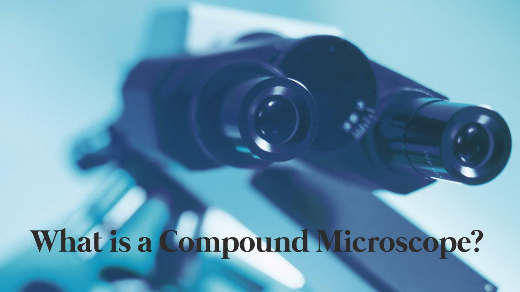 What Is a Compound Microscope?