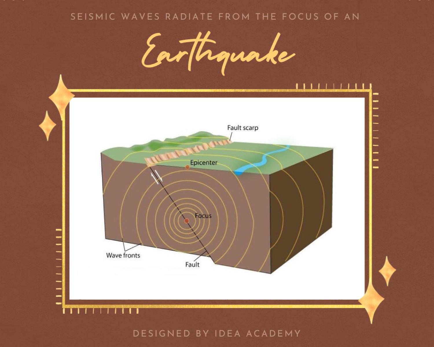 📚What Is Seismic Waves Exactly?