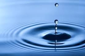 Get the Ripple Perspective