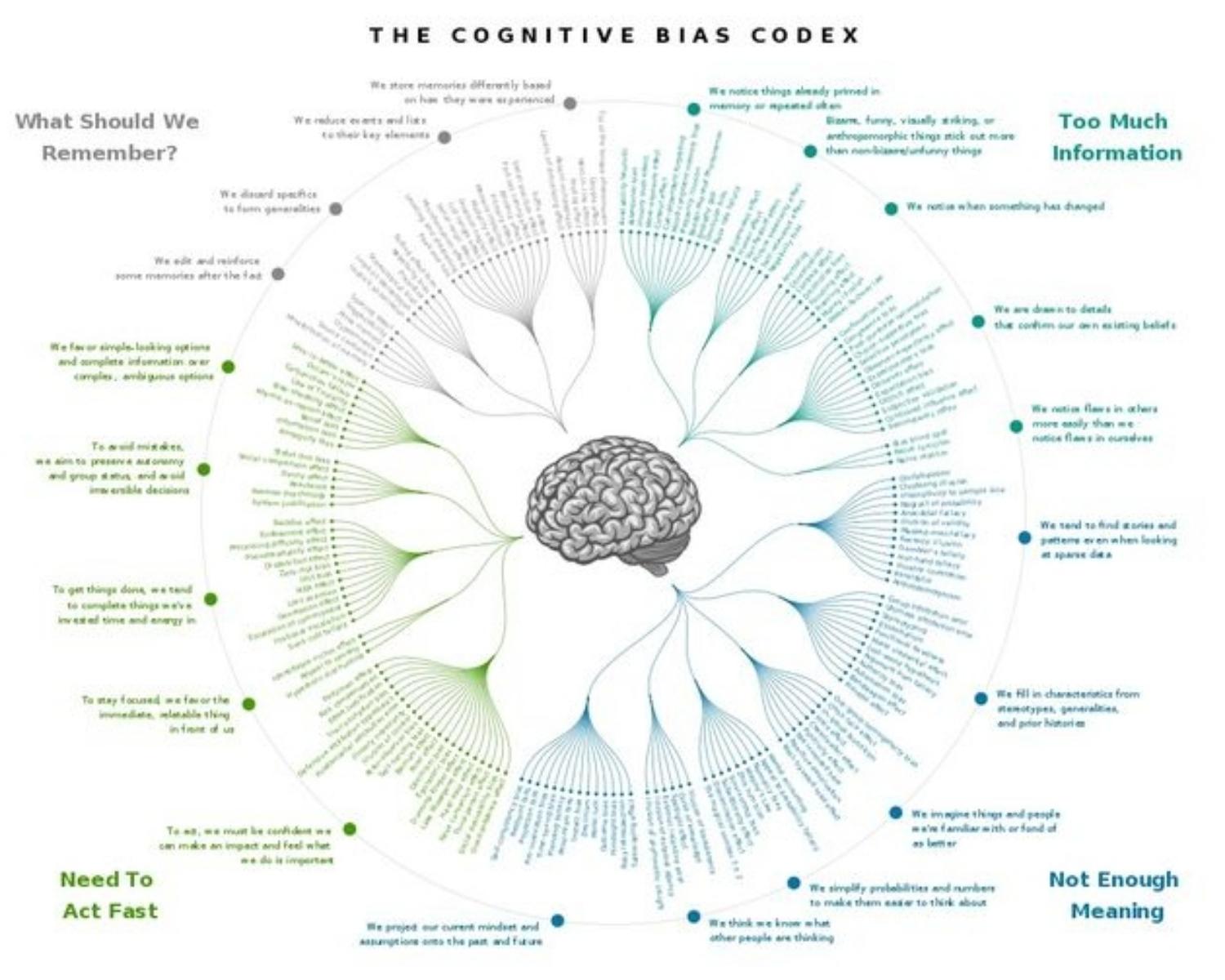 What Are Cognitive Biases?