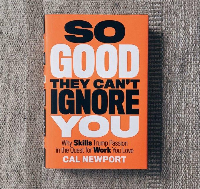 So Good They Can't Ignore You
by Cal Newport