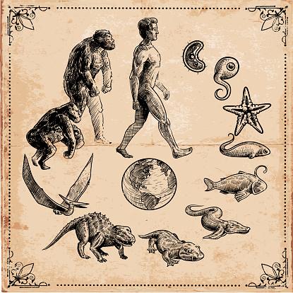 Apa sih yang dimaksud dengan 'Evolusi'?