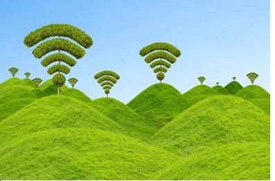 Wi-Fi Tree