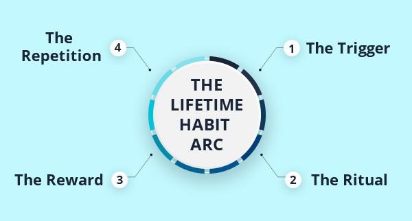8. The Lifetime Habit Arc