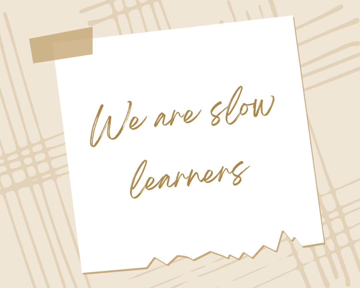 We Are Slow Learners